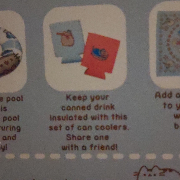 Pusheen salad cup, flask keychain, drink cozies - Picture 8 of 8